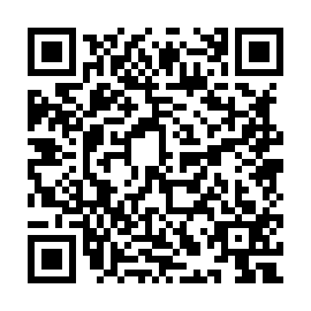 QR code for plate YLP-8138