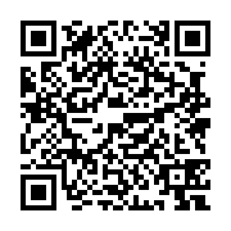 QR code for plate YNM-0380
