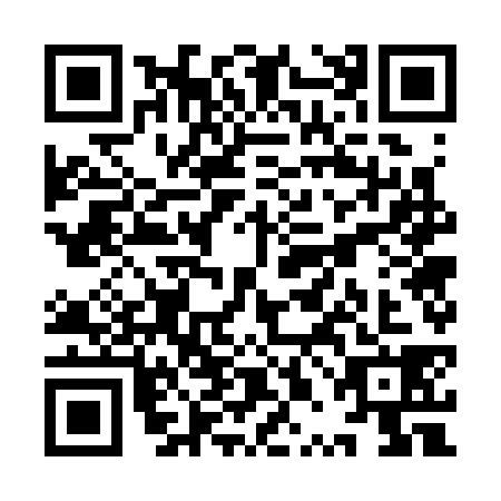 QR code for plate YPG-3384