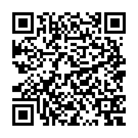 QR code for plate YPM-6729