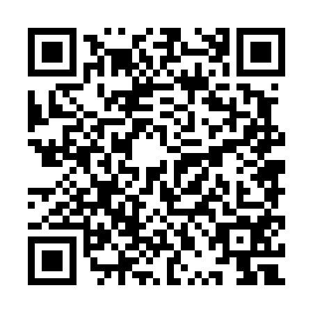 QR code for plate YPN-4541