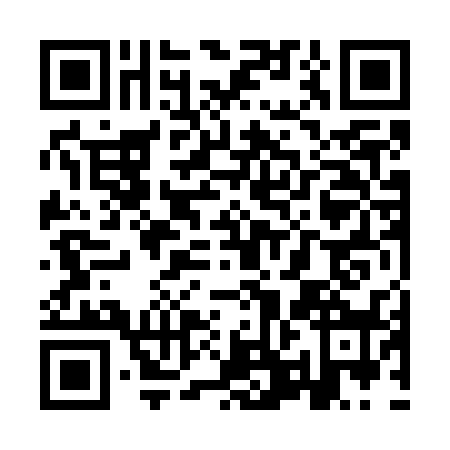 QR code for YPN7381