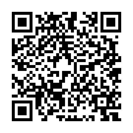 QR code for YSJ4161