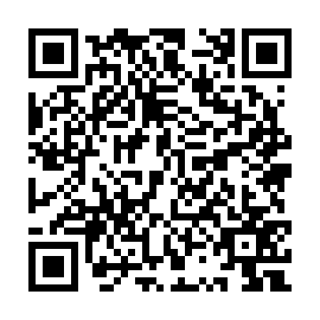 QR code for YSM2771