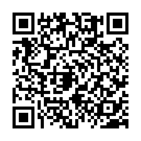 QR code for YSN1381