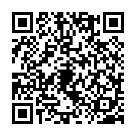 QR code for YTZ0993