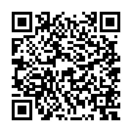 QR code for YUZ0489