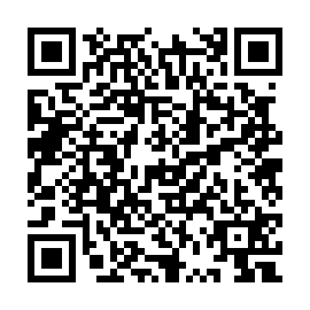 QR code for plate YVR-0219