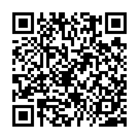 QR code for plate YWQ-6804
