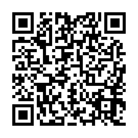 QR code for YYN-9538