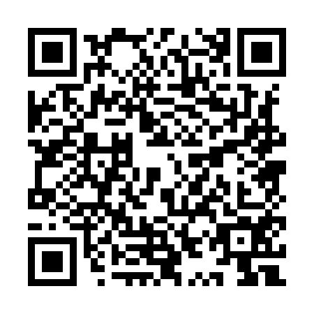 QR code for YYP-9545