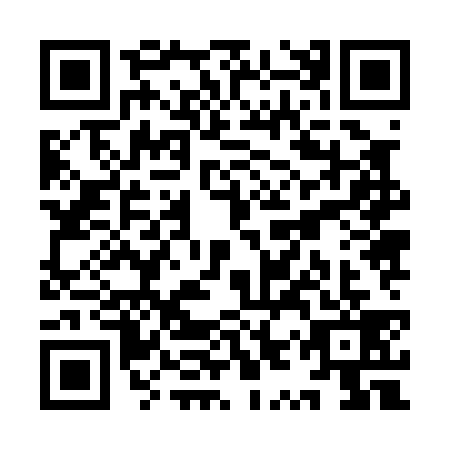 QR code for plate YYZ-0398