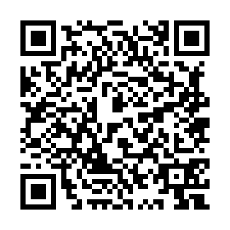 QR code for plate YYZ-8700