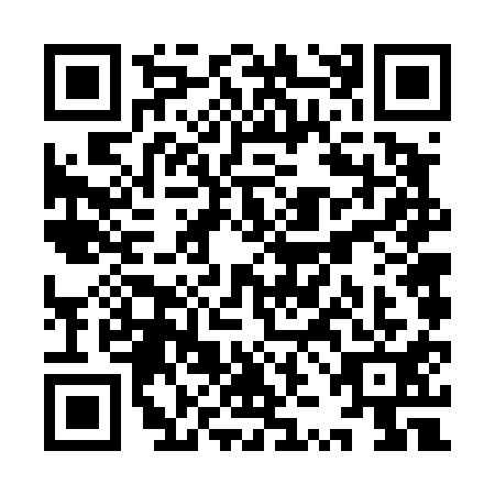 QR code for YZF4119