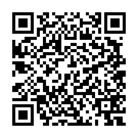 QR code for ZBB4593