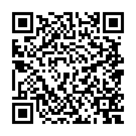 QR code for ZBH-4538