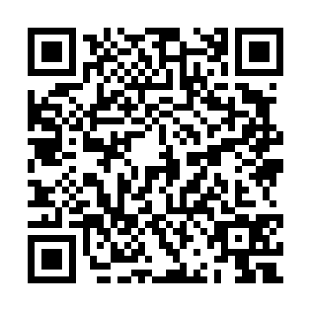 QR code for ZBI4343