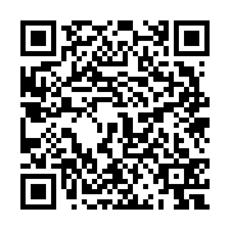 QR code for ZBK6333