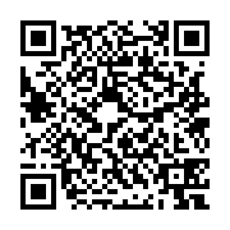 QR code for ZDC1381