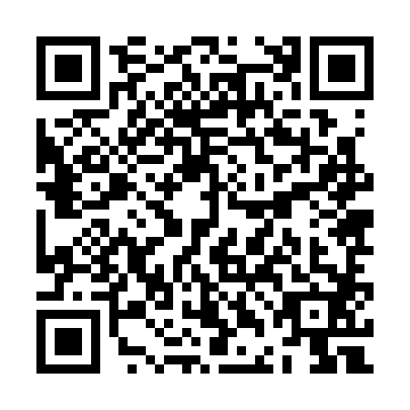 QR code for ZDJ-3821