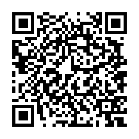 QR code for ZDN-4733
