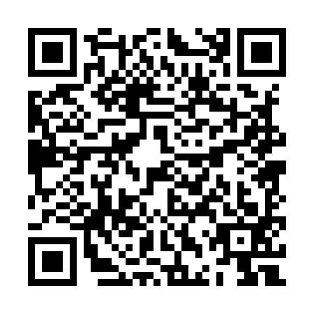 QR code for ZDP-9938