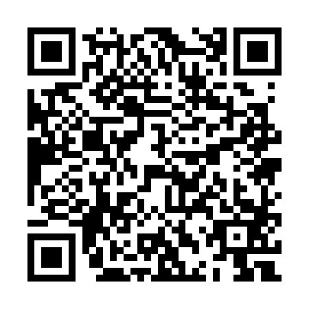 QR code for ZDQ-3838