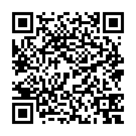 QR code for ZFY2381