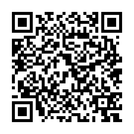 QR code for ZFZ-6335
