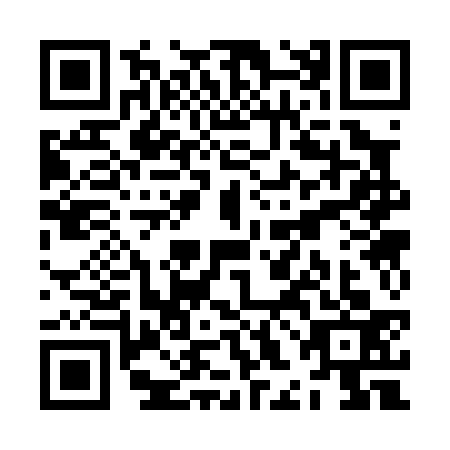 QR code for ZHC-0333