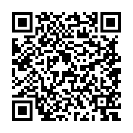 QR code for ZHN-8528