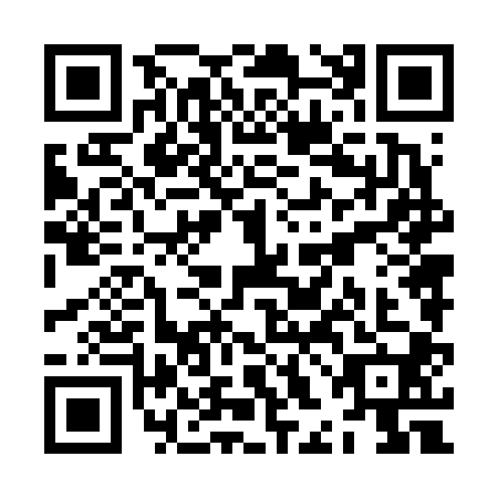QR code for plate ZHN-6005