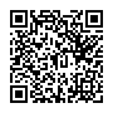 QR code for ZJP-6096