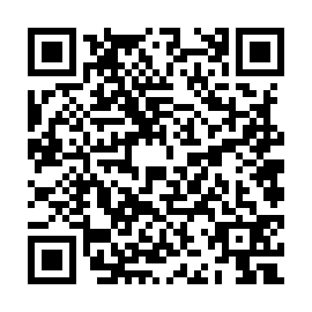 QR code for ZJV9328