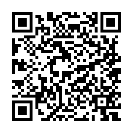 QR code for ZKJ9533