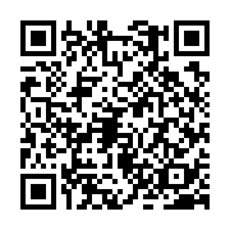 QR code for ZKM-7382
