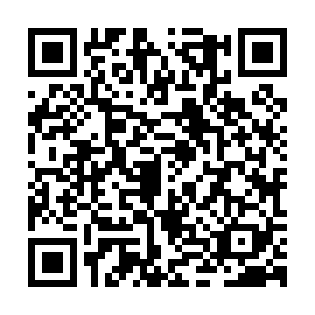 QR code for ZLZ0290