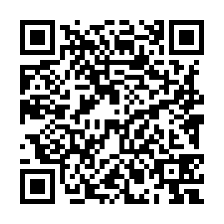 QR code for plate ZML-9381