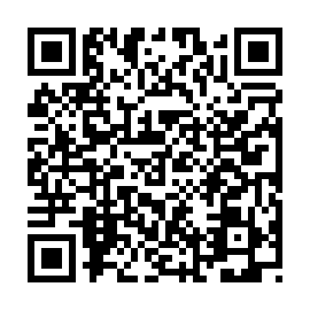 QR code for ZNZ0599