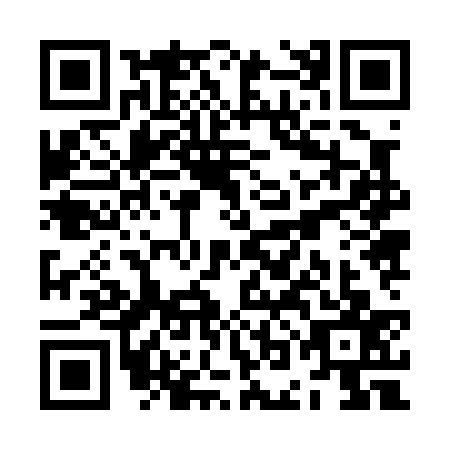 QR code for ZOJ0370