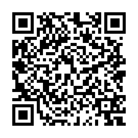 QR code for ZSM-5203