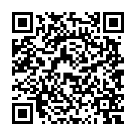 QR code for ZST-4667