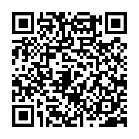 QR code for ZST5509