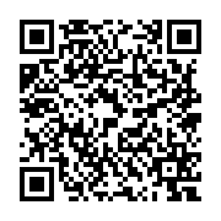 QR code for ZTA9653