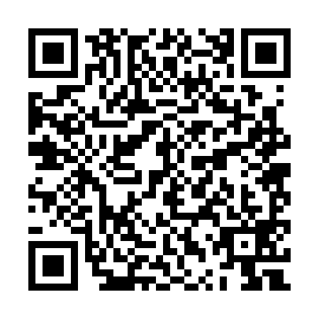 QR code for ZTR3991
