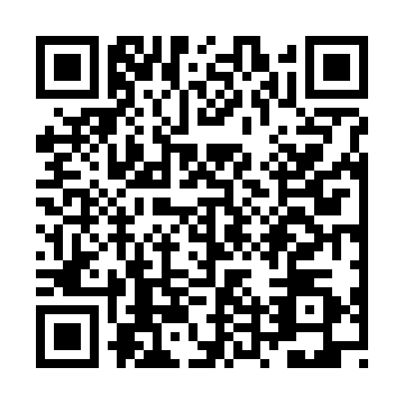 QR code for ZTV7308