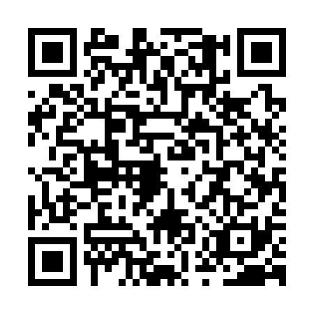 QR code for ZUU-3313