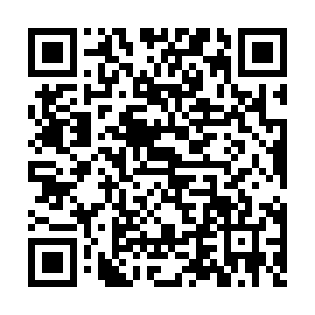 QR code for ZVM3878
