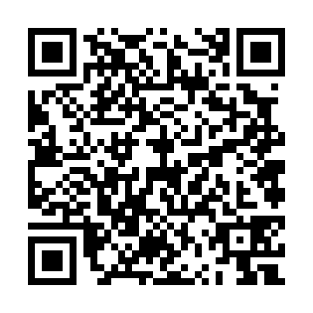 QR code for ZVV-0383