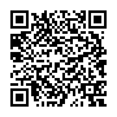 QR code for ZWT6313